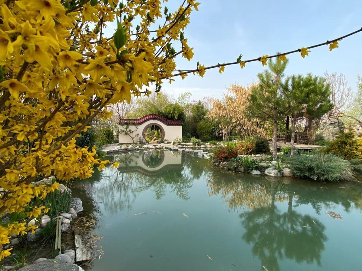 Uzumfermer Hotel & Winery Tashkent Esterno foto